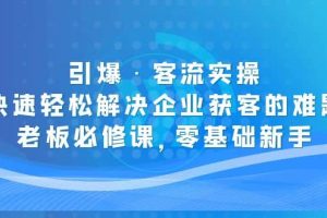 引爆·客流实操：快速轻松解决企业获客的难题，老板必修课，零基础新手