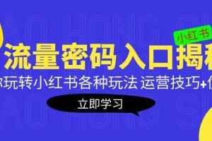 小红书流量密码入口揭秘：带你玩转小红书各种玩法 运营技巧 优化