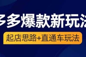 2023拼多多爆款·新玩法：起店思路 直通车玩法（3节精华课）