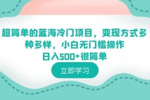 超简单的蓝海冷门项目，变现方式多种多样，小白无门槛操作日入500 很简单