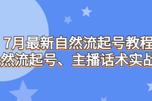 7月最新自然流起号教程，自然流起号、主播话术实战课