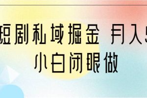 靠短剧私域掘金 月入5W 小白闭眼做（教程 2T资料）