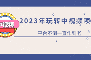 2023一心0基础玩转中视频项目：平台不倒，一直做到老