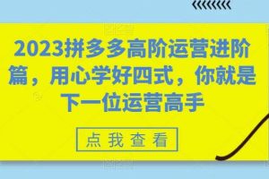 2023拼多多高阶运营进阶篇，用心学好四式，你就是下一位运营高手