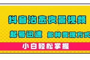 抖音治愈系夜景视频，起号迅速，多种变现方式，小白轻松掌握（附120G素材）