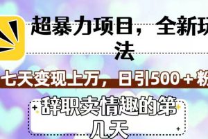 超暴利项目，全新玩法（辞职卖情趣的第几天），七天变现上万，日引500 粉