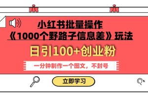 小红书批量操作《1000个野路子信息差》玩法 日引100 创业粉 一分钟一个图文