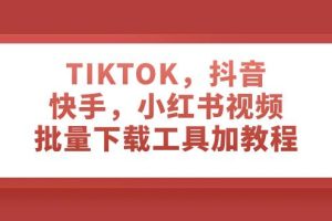 TIKTOK，抖音，快手，小红书视频批量下载工具加教程