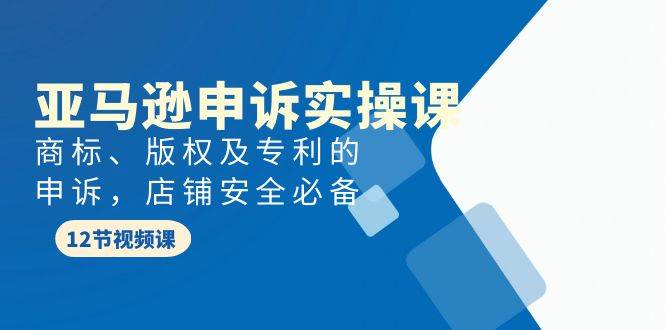 亚马逊-申诉实战课，商标、版权及专利的申诉，店铺安全必备插图