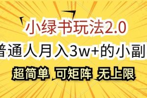 小绿书玩法2.0，超简单，普通人月入3w+的小副业，可批量放大