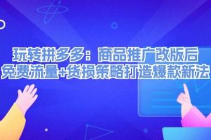 玩转拼多多：商品推广改版后，免费流量+货损策略打造爆款新法（无水印）