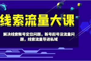 线索流量大课-解决线索账号定位问题，新号起号没流量问题，线索流量导进私域