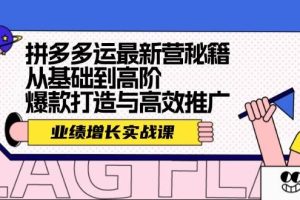 拼多多运最新营秘籍：业绩 增长实战课，从基础到高阶，爆款打造与高效推广