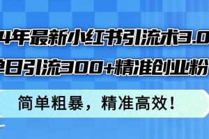 24年最新小红书引流术3.0，单日引流300+精准创业粉，简单粗暴，精准高效！