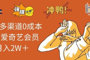 （12317期）2024多渠道0成本售卖爱奇艺会员月入2W＋