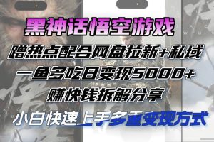 （12271期）黑神话悟空游戏蹭热点配合网盘拉新+私域，一鱼多吃日变现5000+赚快钱拆…