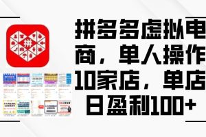 （12267期）拼多多虚拟电商，单人操作10家店，单店日盈利100+