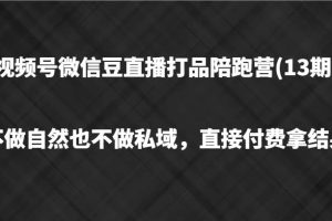 视频号微信豆直播打品陪跑(13期)，不做不自然流不做私域，直接付费拿结果