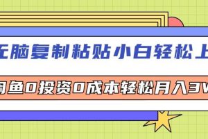 （12258期）无脑复制粘贴，小白轻松上手，电商0投资0成本轻松月入3W+