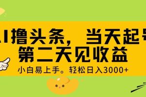 （11314期） AI撸头条，轻松日入3000+，当天起号，第二天见收益。