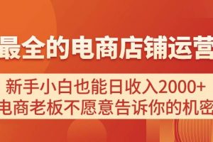 电商店铺运营教学，新手小白也能日收入2000+，电商老板不愿意告诉你的机密