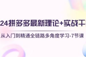 2024拼多多 最新理论+实战干货，从入门到精通全链路多角度学习-7节课