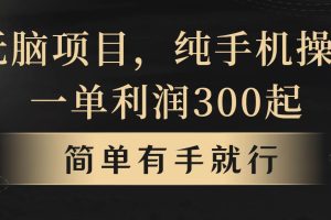 （10699期）无脑项目，一单几百块，轻松月入5w+，看完就能直接操作