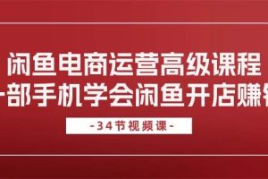 （10686期）闲鱼电商运营高级课程，一部手机学会闲鱼开店赚钱（34节课）