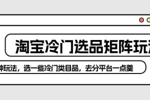 淘宝冷门选品矩阵玩法：换种玩法，选一些冷门类目品，去分平台一点羹