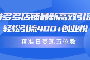 拼多多店铺最新高效引流术，轻松引流400+创业粉，精准日变现五位数！