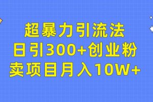 超暴力引流法，日引300+创业粉，卖项目月入10W+