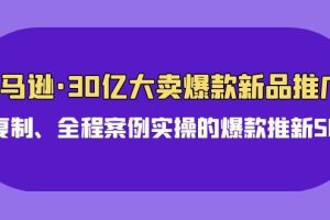 亚马逊30亿·大卖爆款新品推广，可复制、全程案例实操的爆款推新SOP