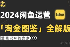 2024闲鱼运营，【淘金图鉴】全解版