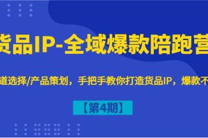 货品IP-全域爆款陪跑营【第4期】赛道选择/产品策划，手把手教你打造货品IP，爆款不断