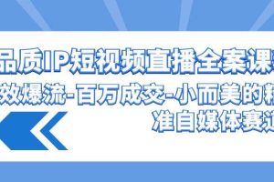 高品质 IP短视频直播-全案课程，有效爆流-百万成交-小而美的精准自媒体赛道