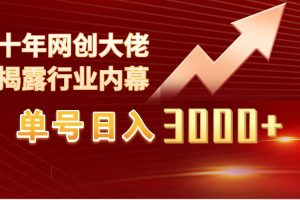 单号日入3000+，工作室内部无脑美女视频玩法，100%过原创