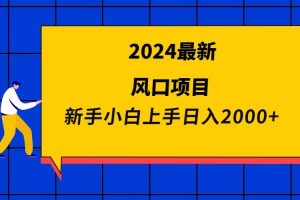 2024最新风口项目 新手小白日入2000+