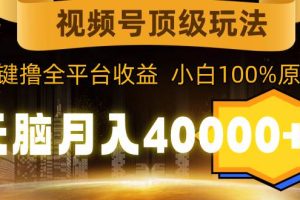 视频号顶级玩法，无脑月入40000+，一键撸全平台收益，纯小白也能100%原创