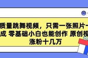 高质量跳舞视频，只需一张照片一键生成 零基础小白也能创作 原创视频 涨…