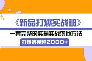 《新品打爆实战班》一套完整的实操实战落地方法，打爆链接超2000+（38节课)