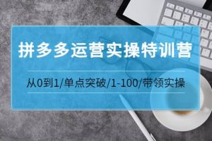 拼多多运营实操特训营：从0到1/单点突破/1-100/带领实操 价值2980元