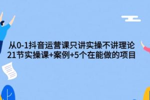 从0-1抖音运营课只讲实操不讲理论：21节实操课+案例+5个在能做的项目