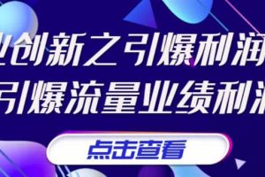 《商业创新之引爆利润增长》引爆流量业绩利润