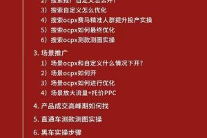 拼多多从0-1全方位运营实操班：爆款玩法+成交高峰黑车玩法（价值1280）