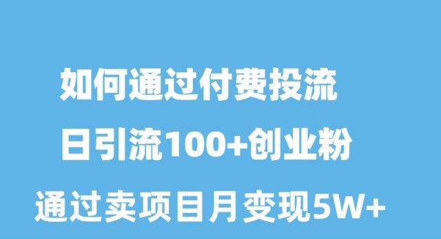 如何通过付费投流日引流100+创业粉月变现5W+插图