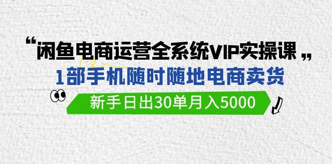 闲鱼电商运营全系统VIP实战课，1部手机随时随地卖货，新手日出30单月入5000插图