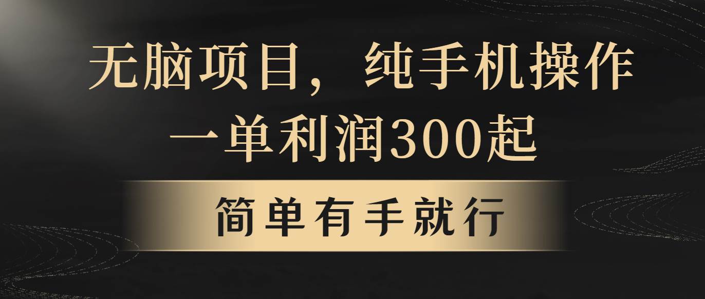 （10699期）无脑项目，一单几百块，轻松月入5w+，看完就能直接操作插图