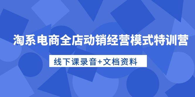 淘系电商全店动销经营模式特训营，线下课录音+文档资料插图