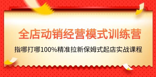 全店动销-经营模式训练营，指哪打哪100%精准拉新保姆式起店实战课程插图