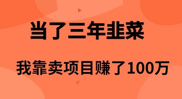 （10149期）当了3年韭菜，我靠卖项目赚了100万插图